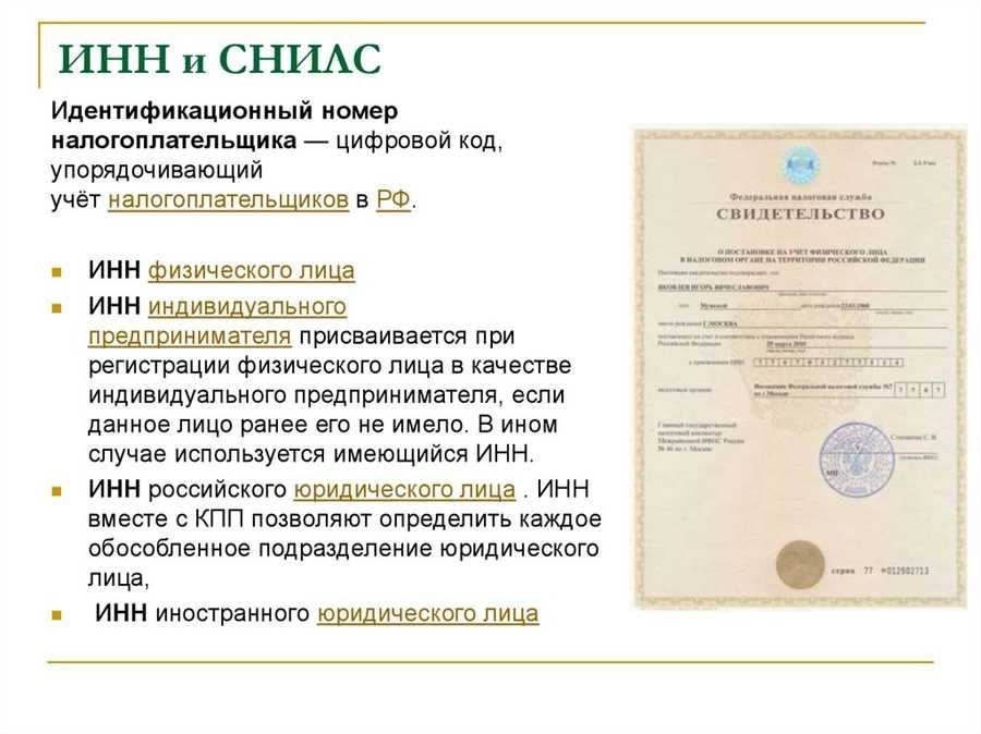 Найти снилс по инн