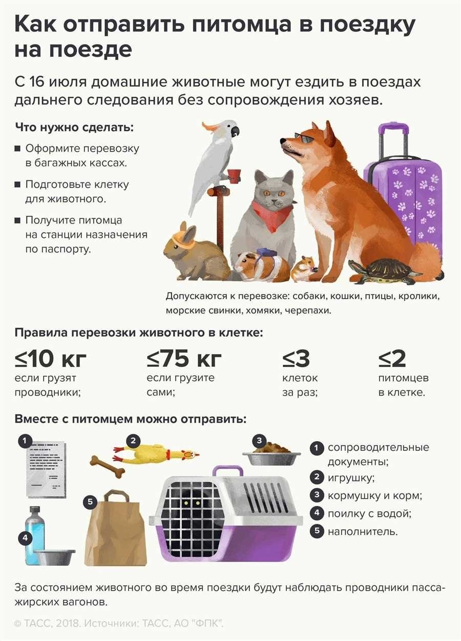 Перевозка животных по россии без сопровождения