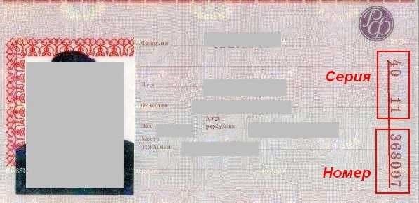 Серия и номер паспорта