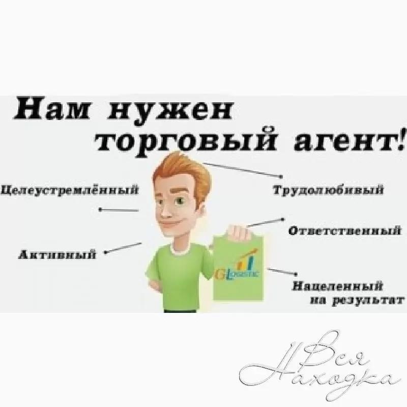 Торговый представитель это